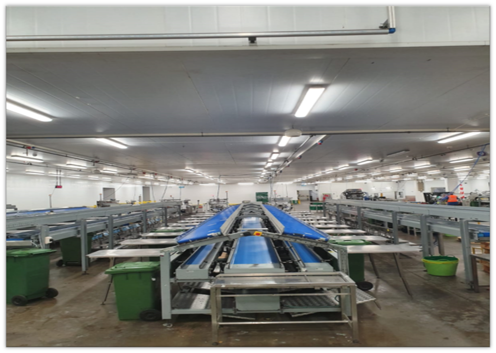 automated food packaging system