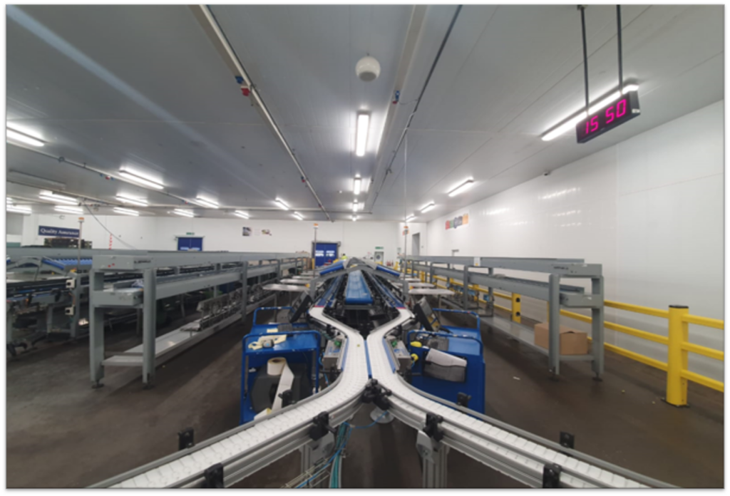 automated food packaging line